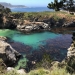 Point Lobos Reserve, California
