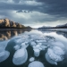 Layered Ice Bubbles, Abrahams Lake, Alberta