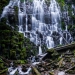 Ramona Falls: Oregon